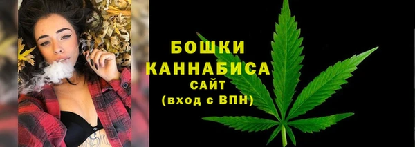 гашик Нея