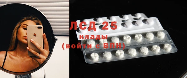 гашик Нея