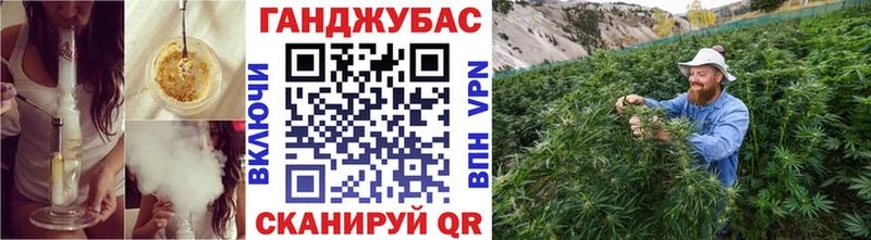 Шишки марихуана семена  Опочка 